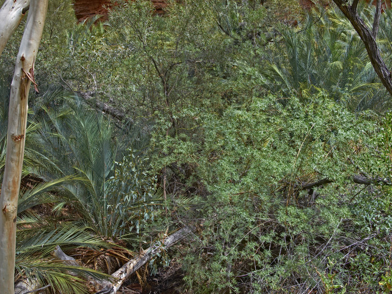 Kings Canyon